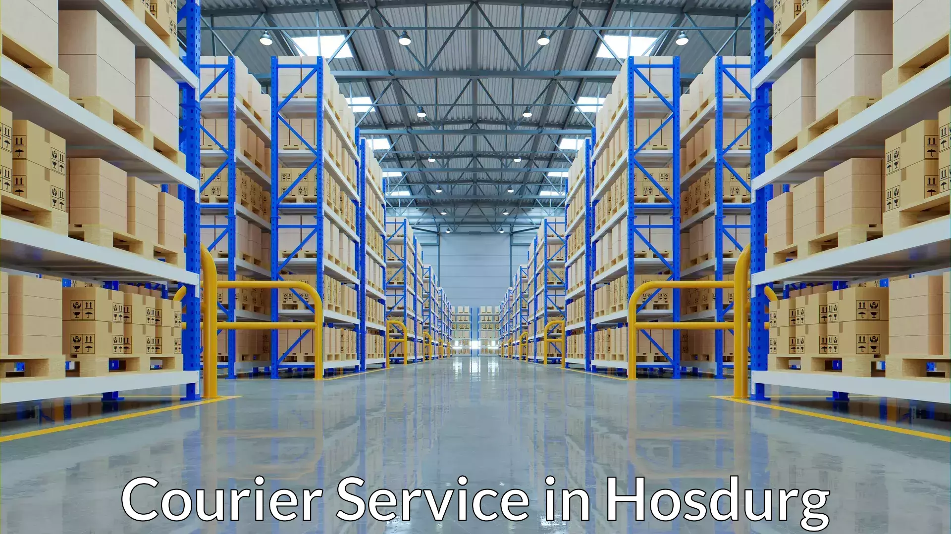 Expedited parcel delivery in Hosdurg