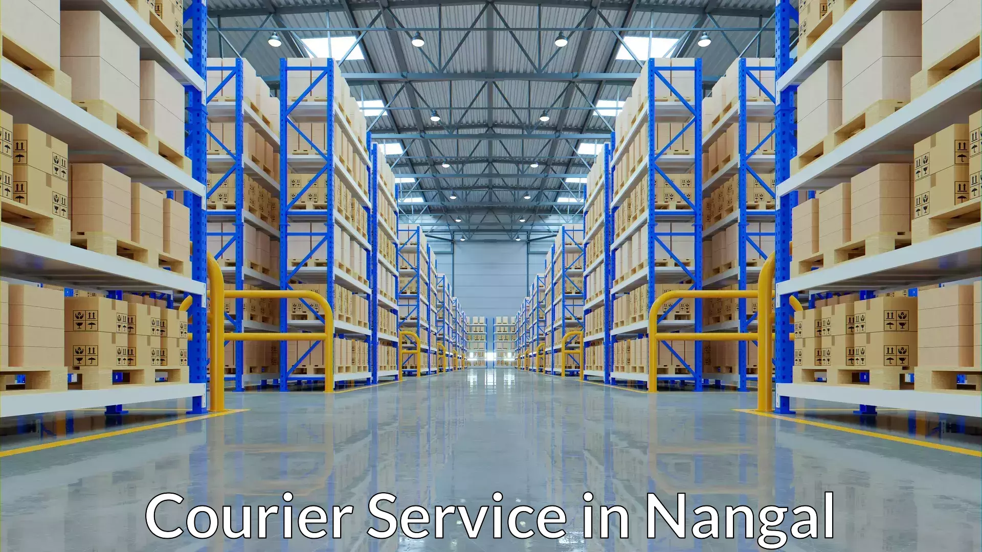 Quality courier partnerships in Nangal