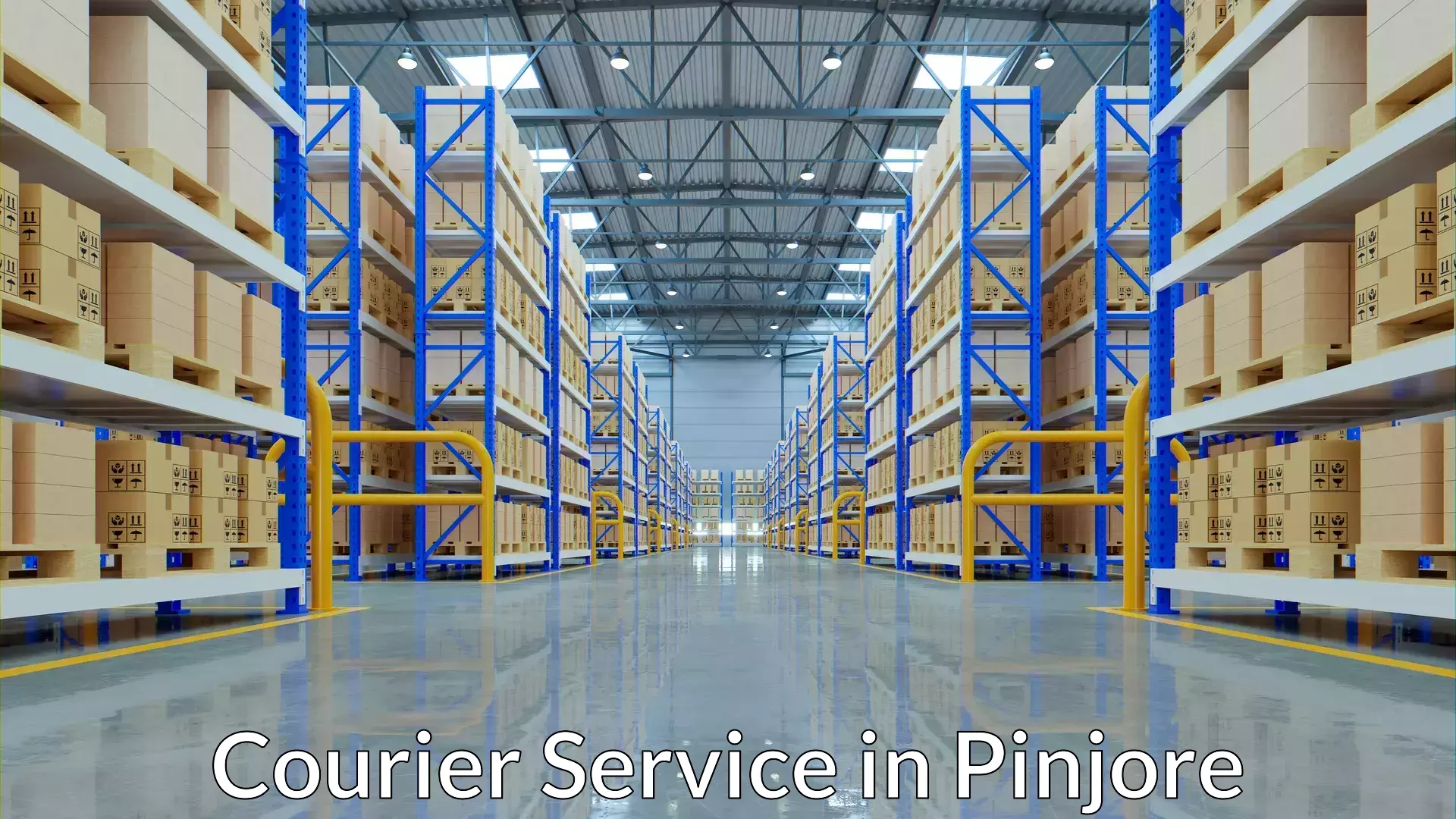 Holiday shipping services in Pinjore