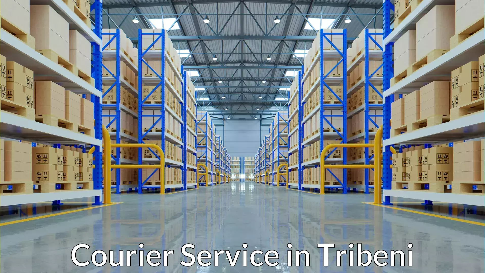 Versatile courier offerings in Tribeni