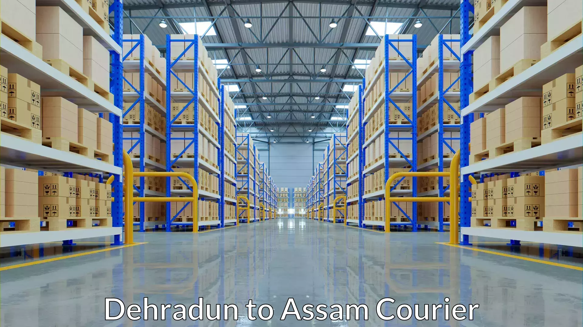 Bulk logistics Dehradun to Assam