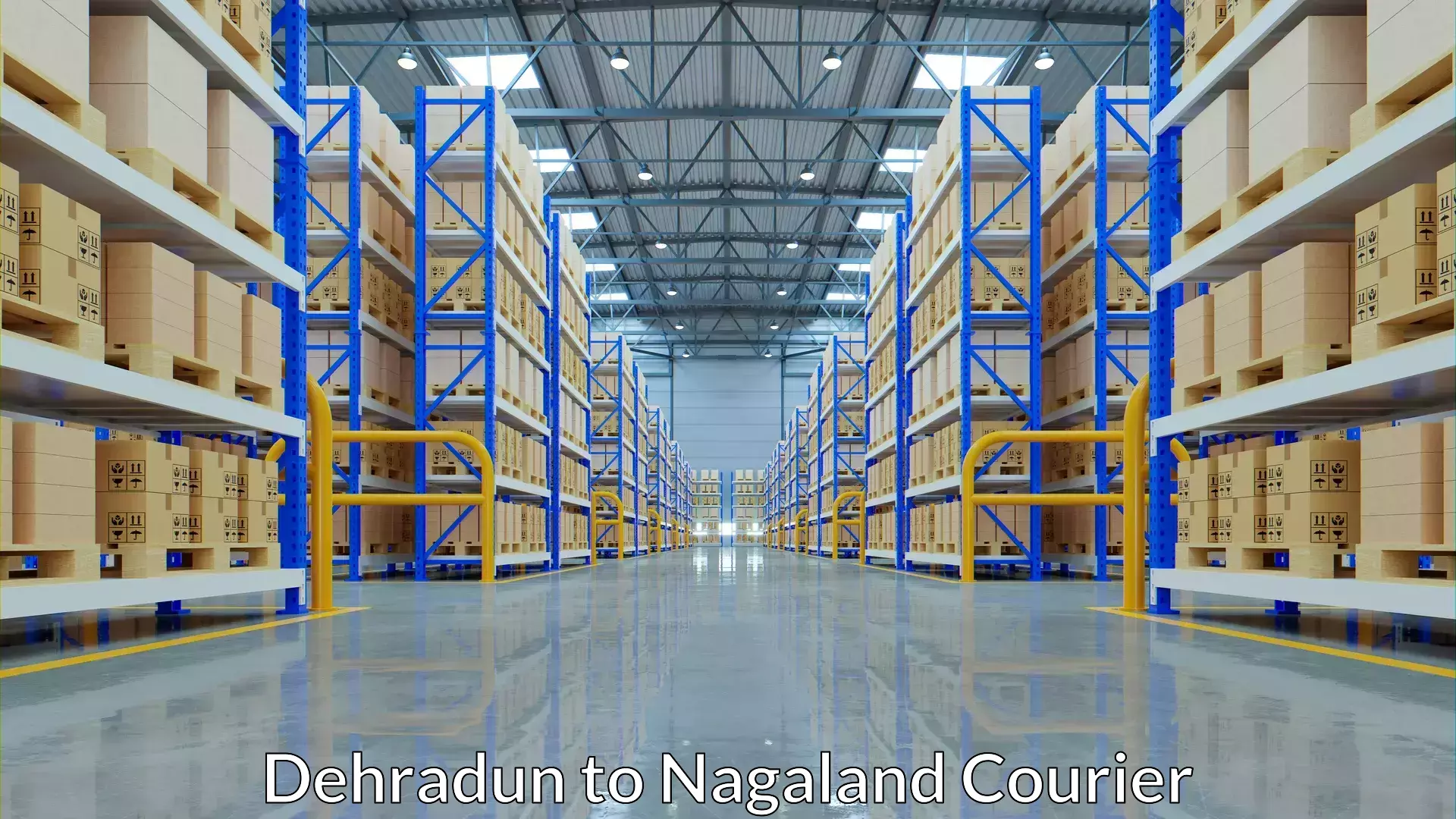 Business courier solutions Dehradun to Nagaland