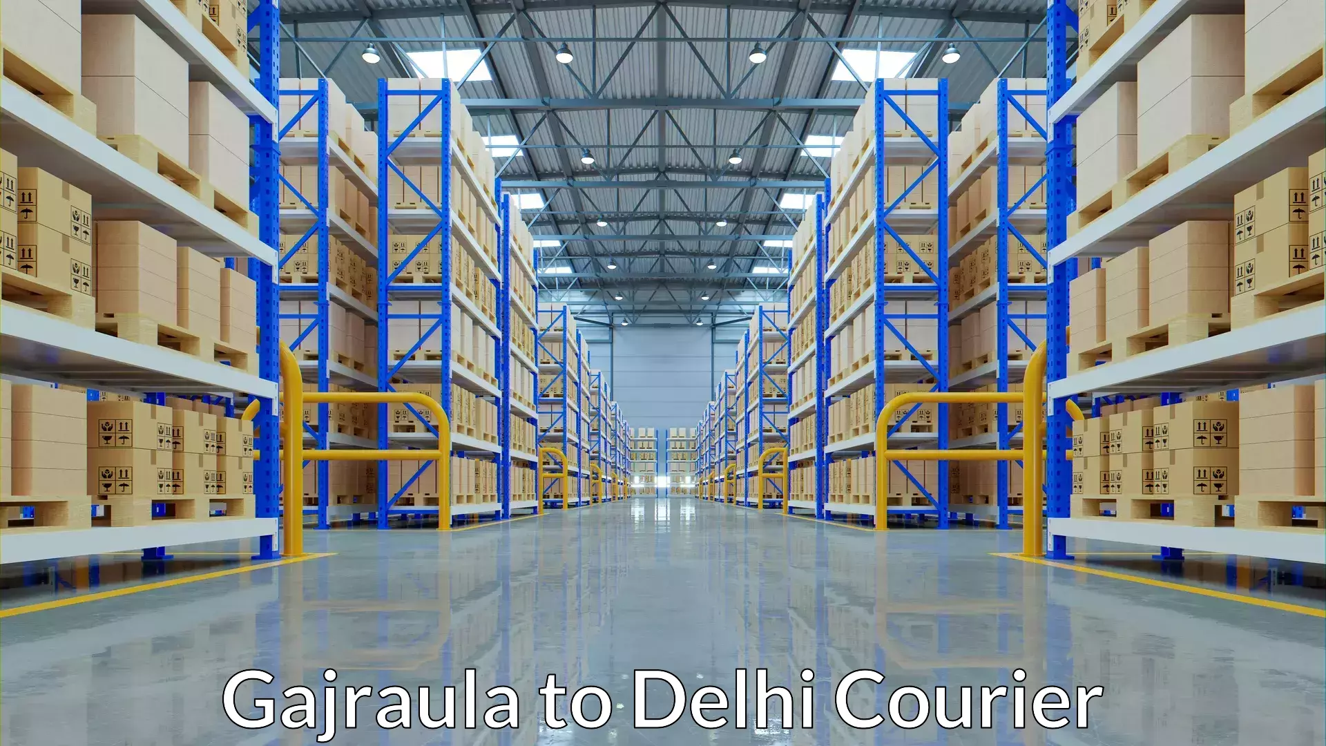 Premium courier services Gajraula to Guru Gobind Singh Indraprastha University New Delhi