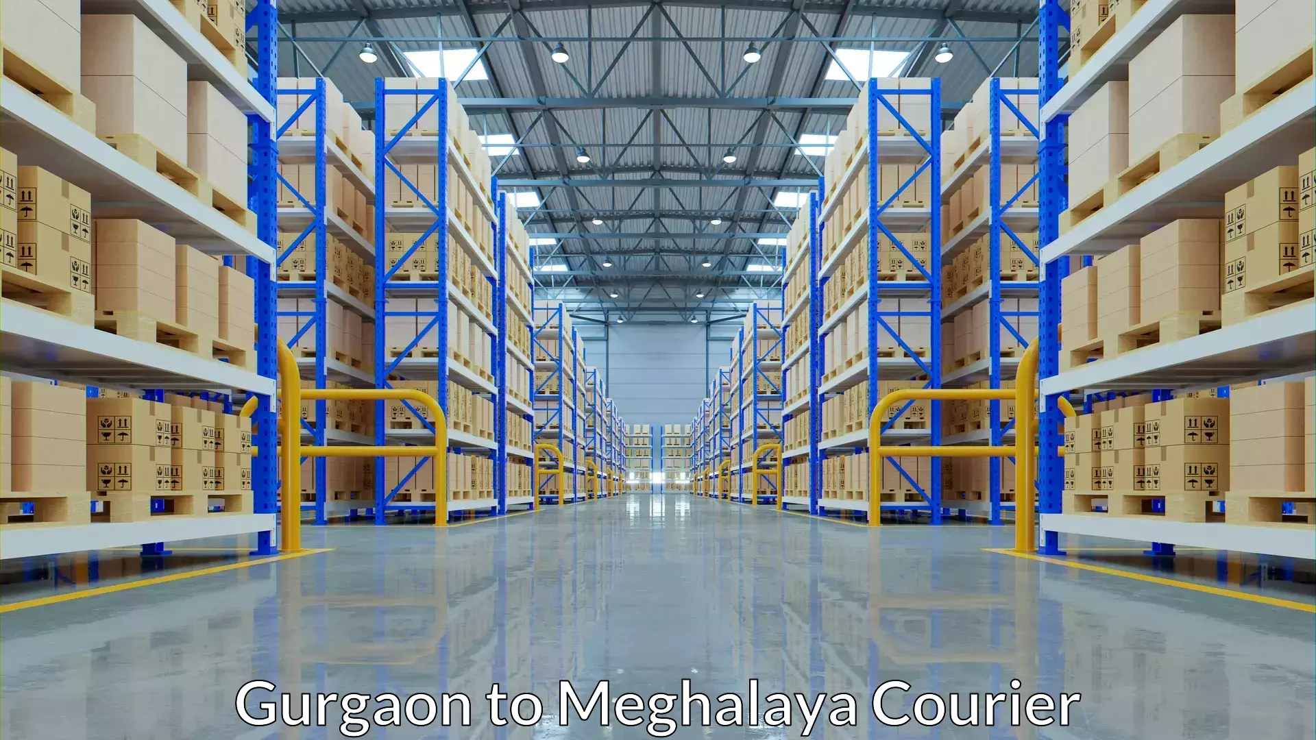 Multi-package shipping Gurgaon to Cherrapunji