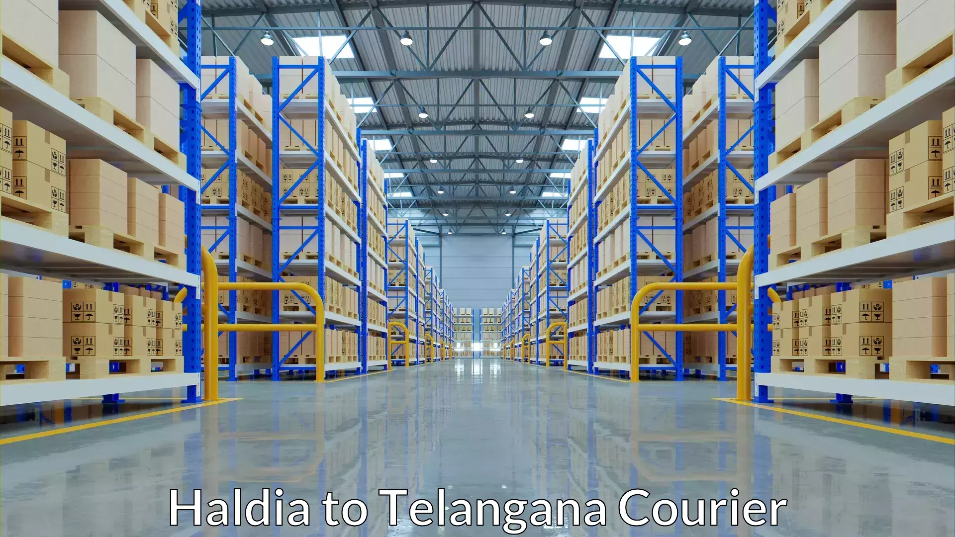 Business courier solutions Haldia to Yellareddipet