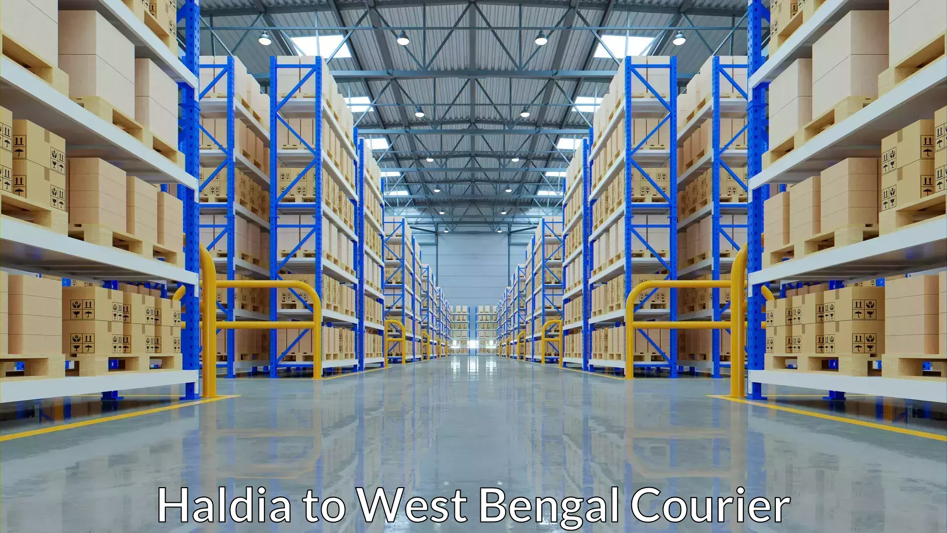 Affordable international shipping Haldia to Maynaguri