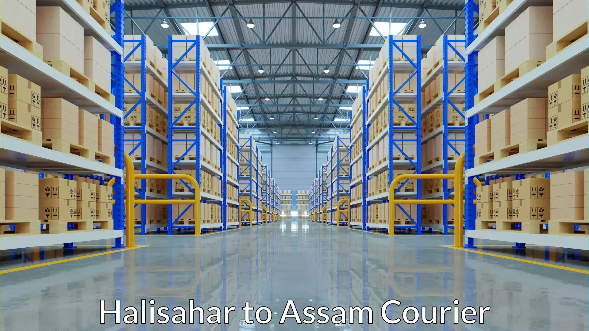 24-hour courier services Halisahar to Balapara