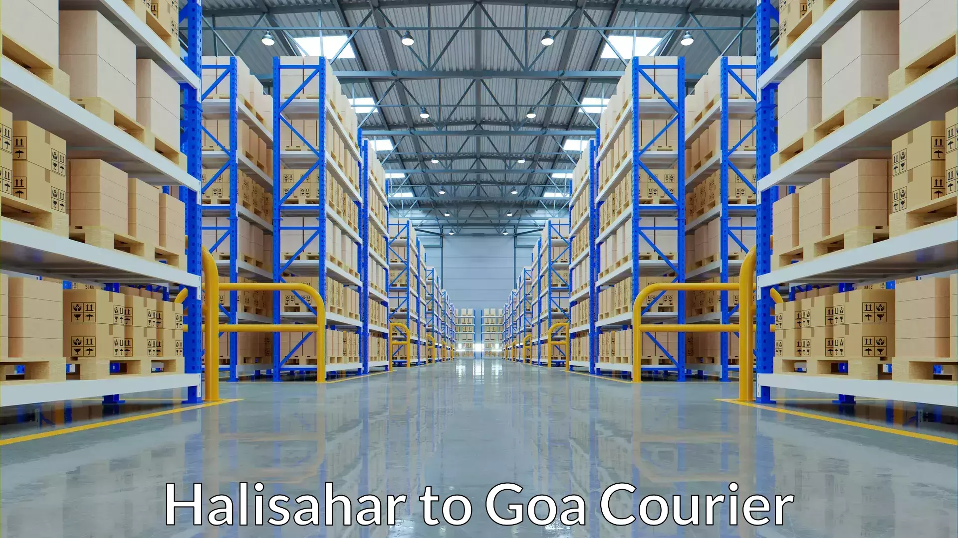 Premium courier services Halisahar to South Goa