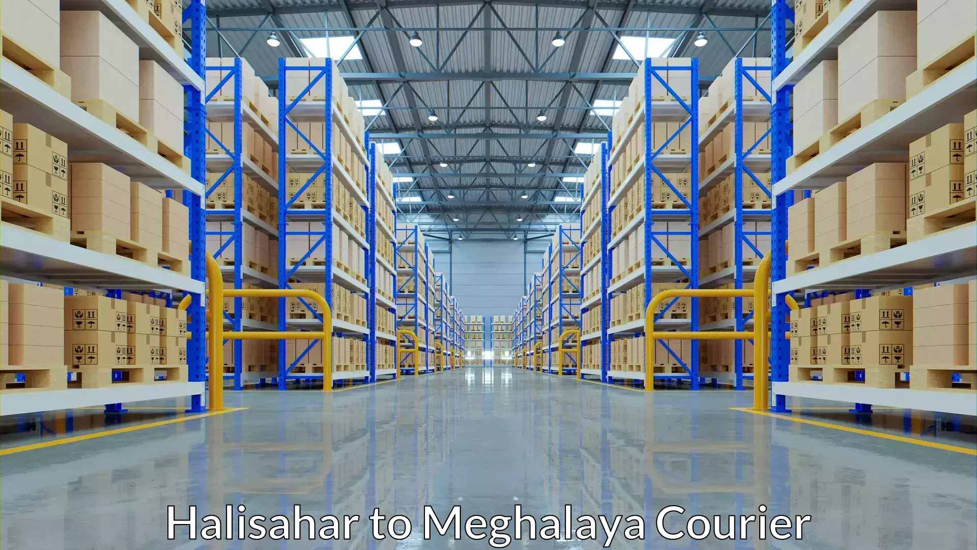 Professional courier handling Halisahar to NIT Meghalaya