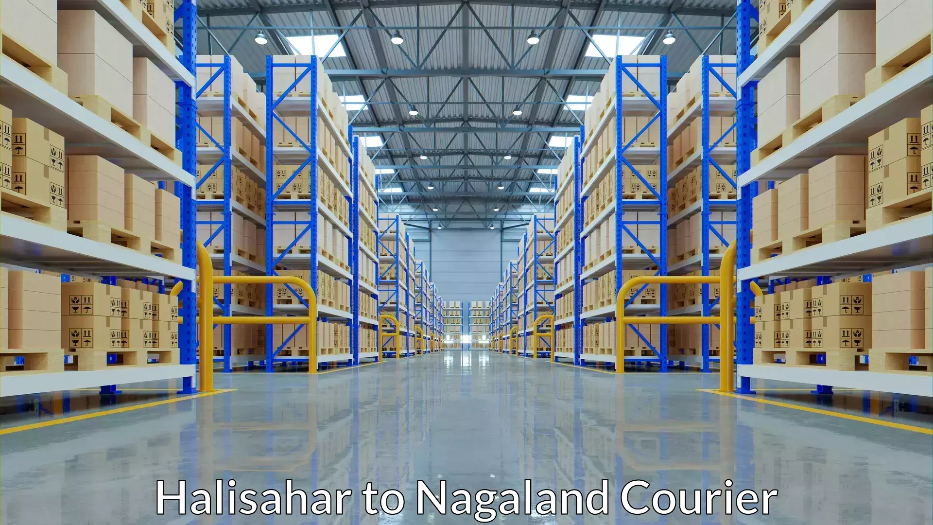 Smart courier technologies Halisahar to Dimapur