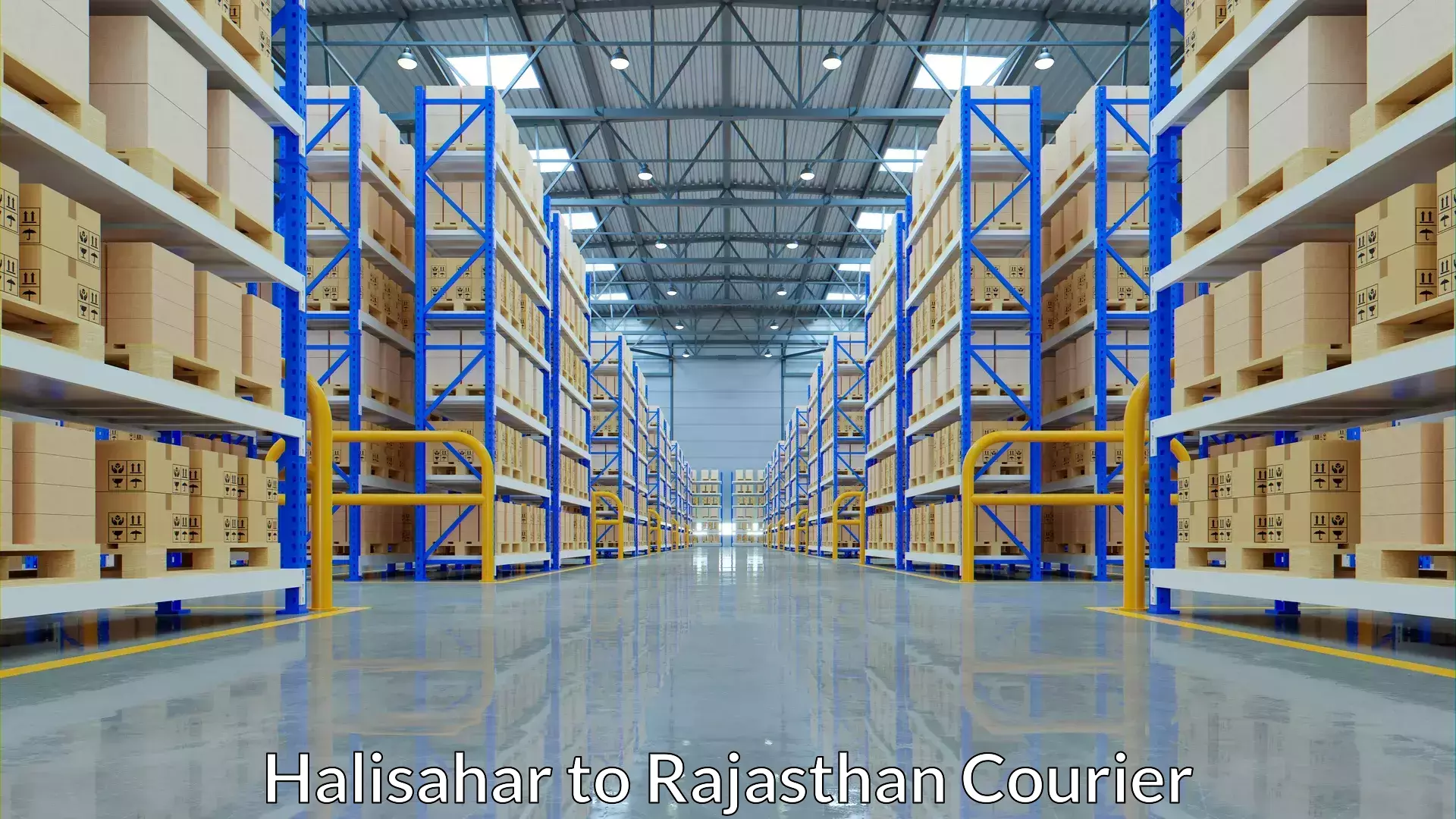 Multi-service courier options Halisahar to Pilani