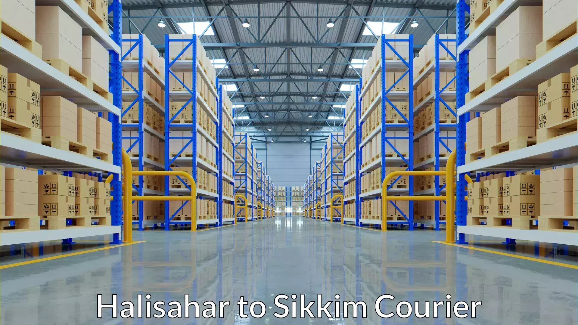 Integrated courier services Halisahar to West Sikkim