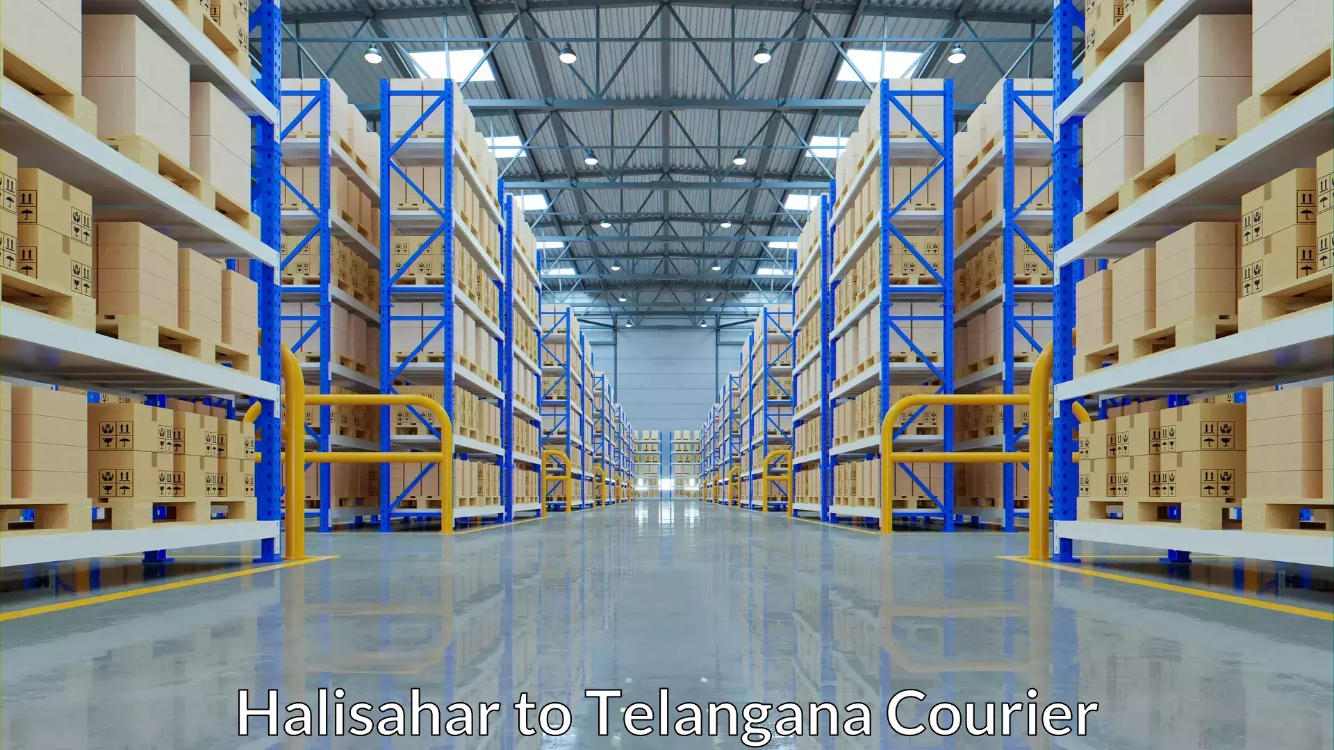 Cost-effective courier solutions Halisahar to Jangaon