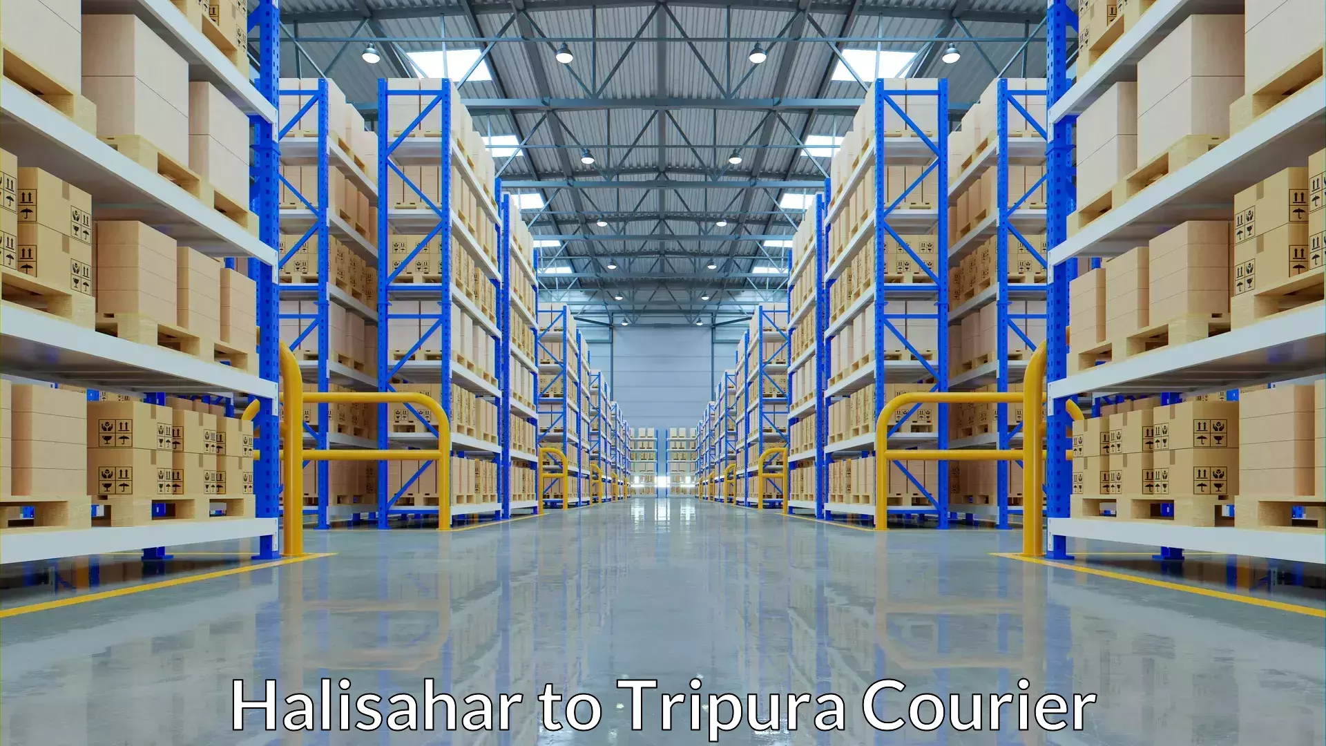 Versatile courier offerings Halisahar to North Tripura