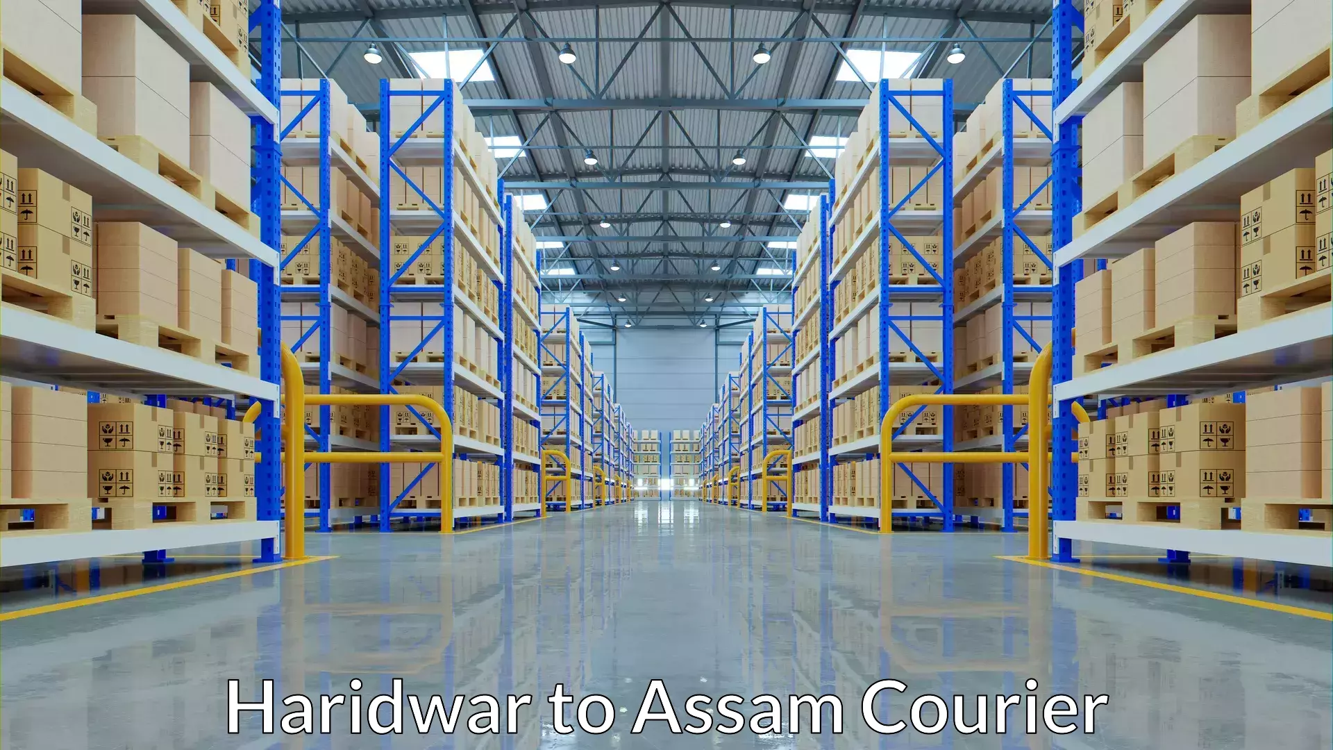 Comprehensive parcel tracking Haridwar to Lumding