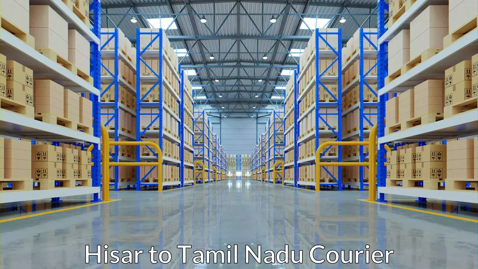 Expedited shipping solutions Hisar to Tiruturaipundi