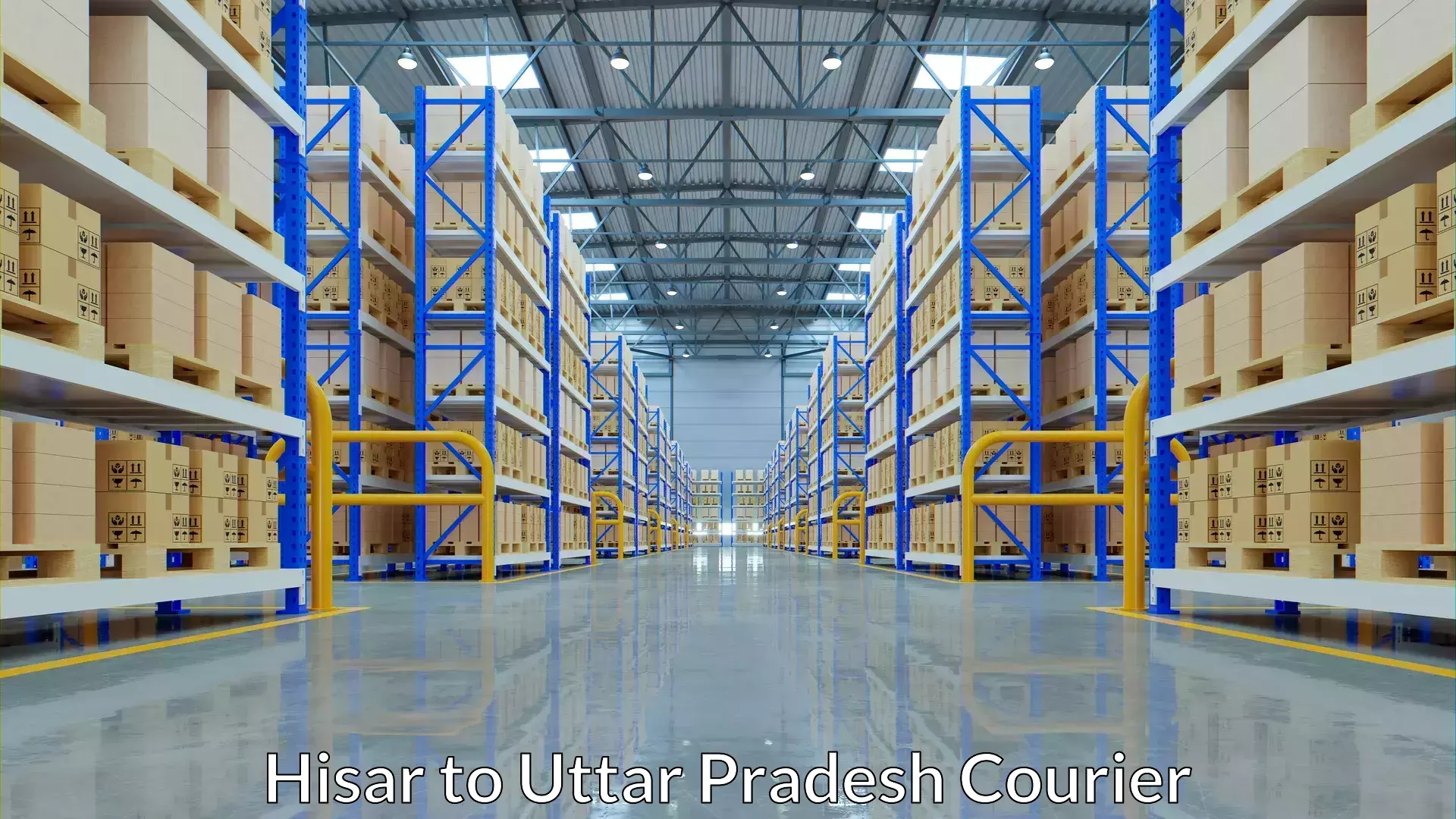 Professional parcel services in Hisar to Sikandra Rao