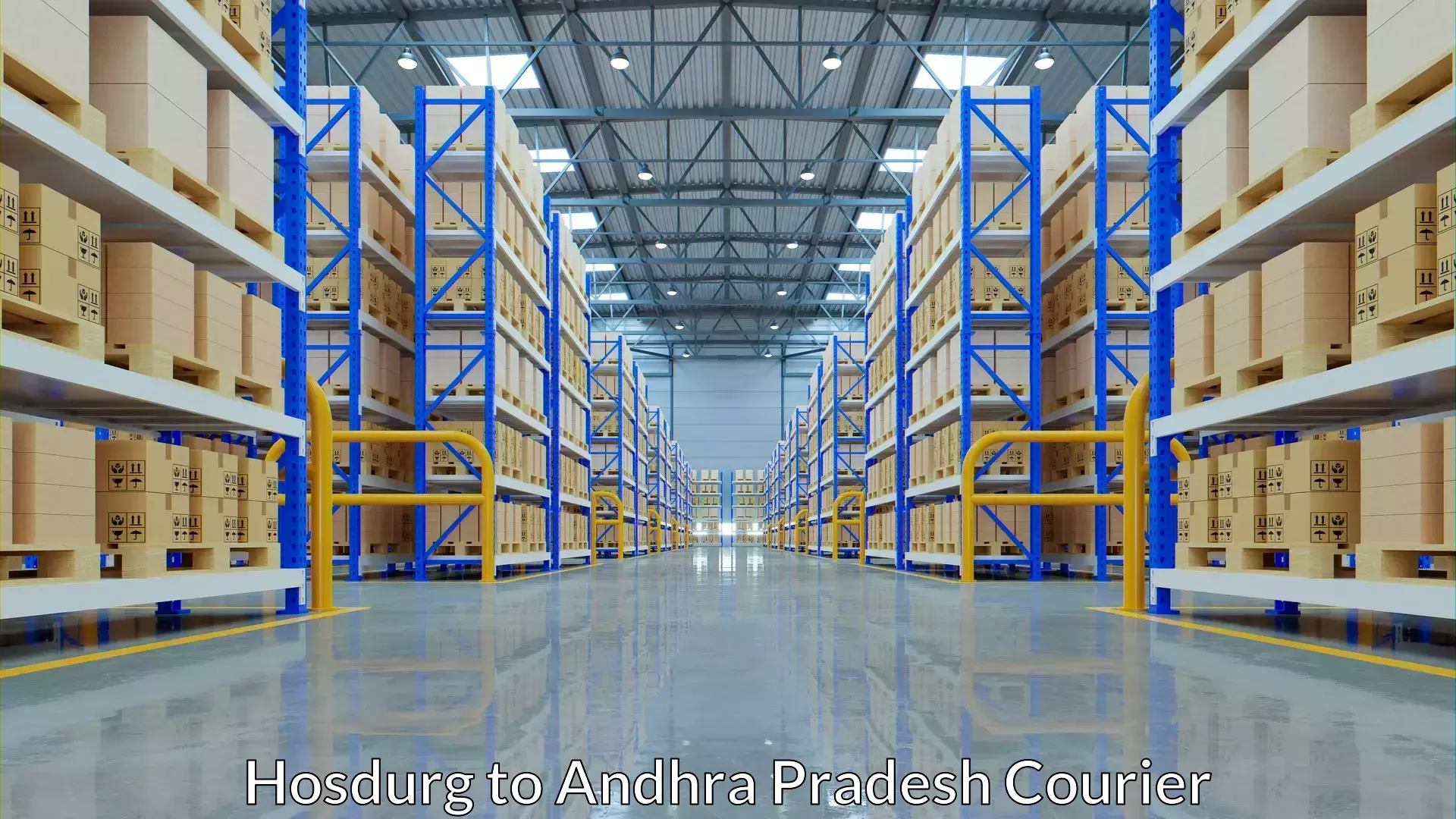 High-efficiency logistics Hosdurg to Anantapur