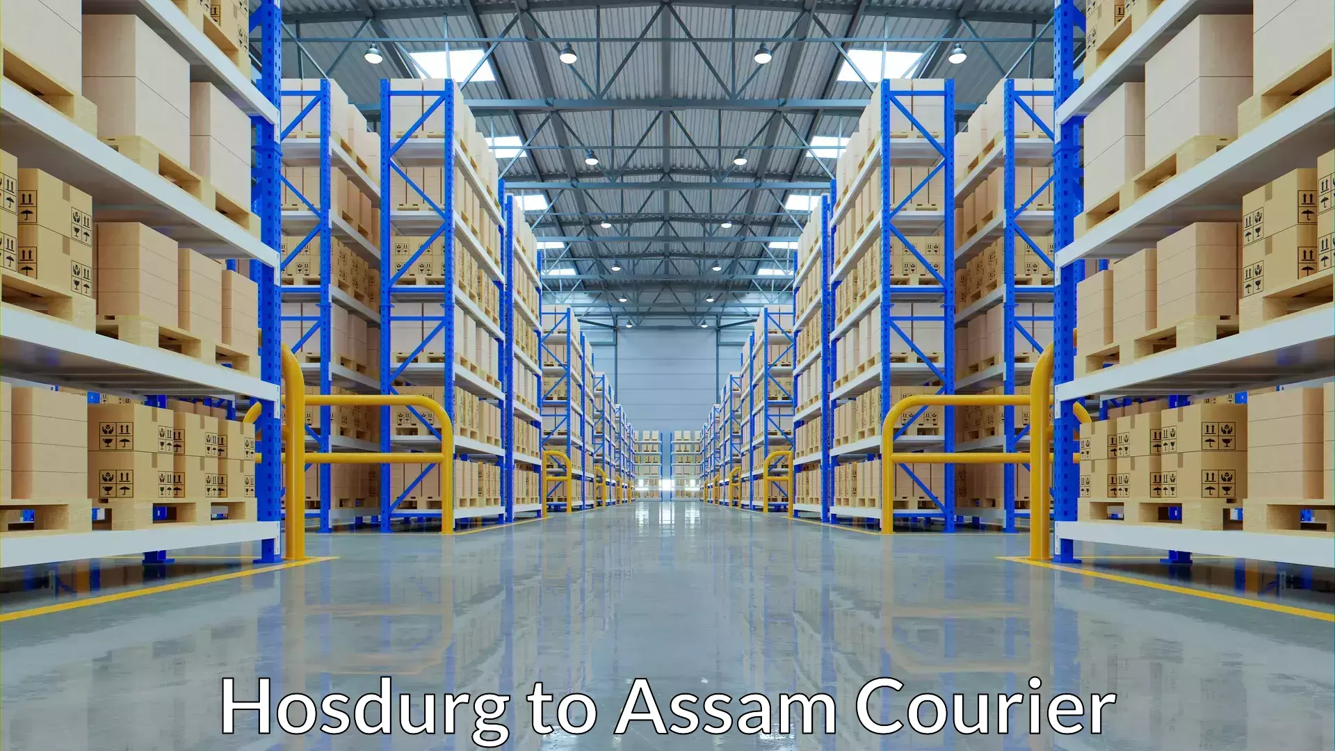 Digital courier platforms in Hosdurg to Ramkrishna Nagar Karimganj