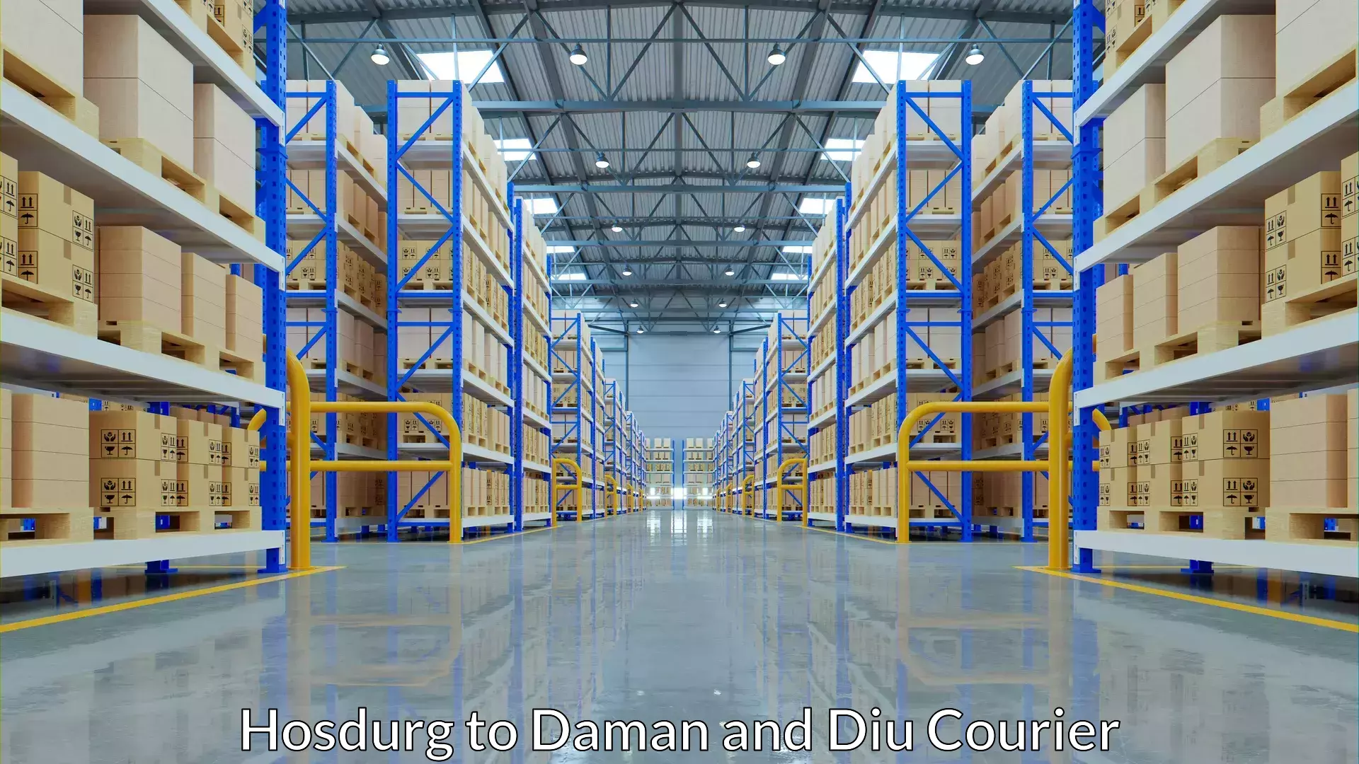 Custom shipping services in Hosdurg to Daman and Diu