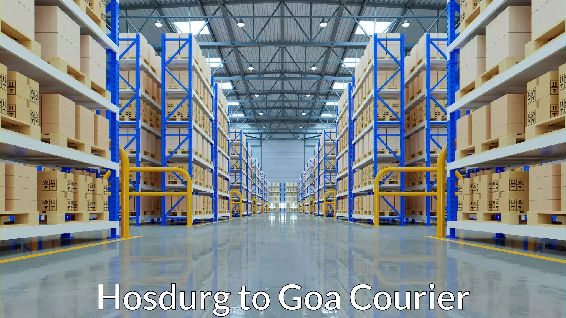 Full-service courier options Hosdurg to Goa