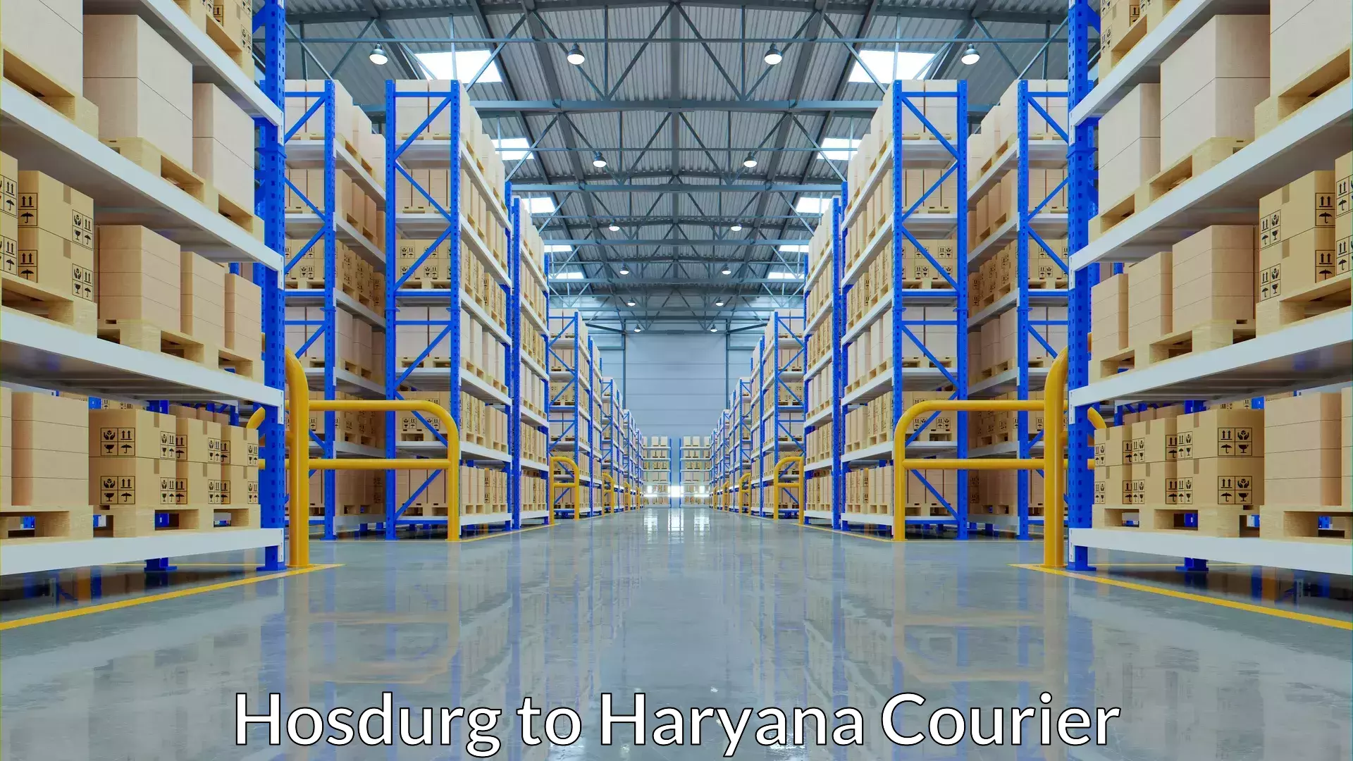 Smart parcel tracking Hosdurg to Haryana