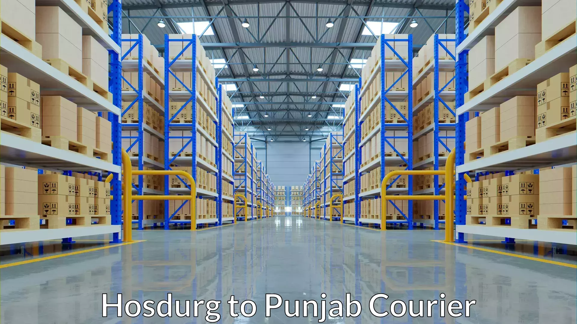 Reliable package handling in Hosdurg to Punjab