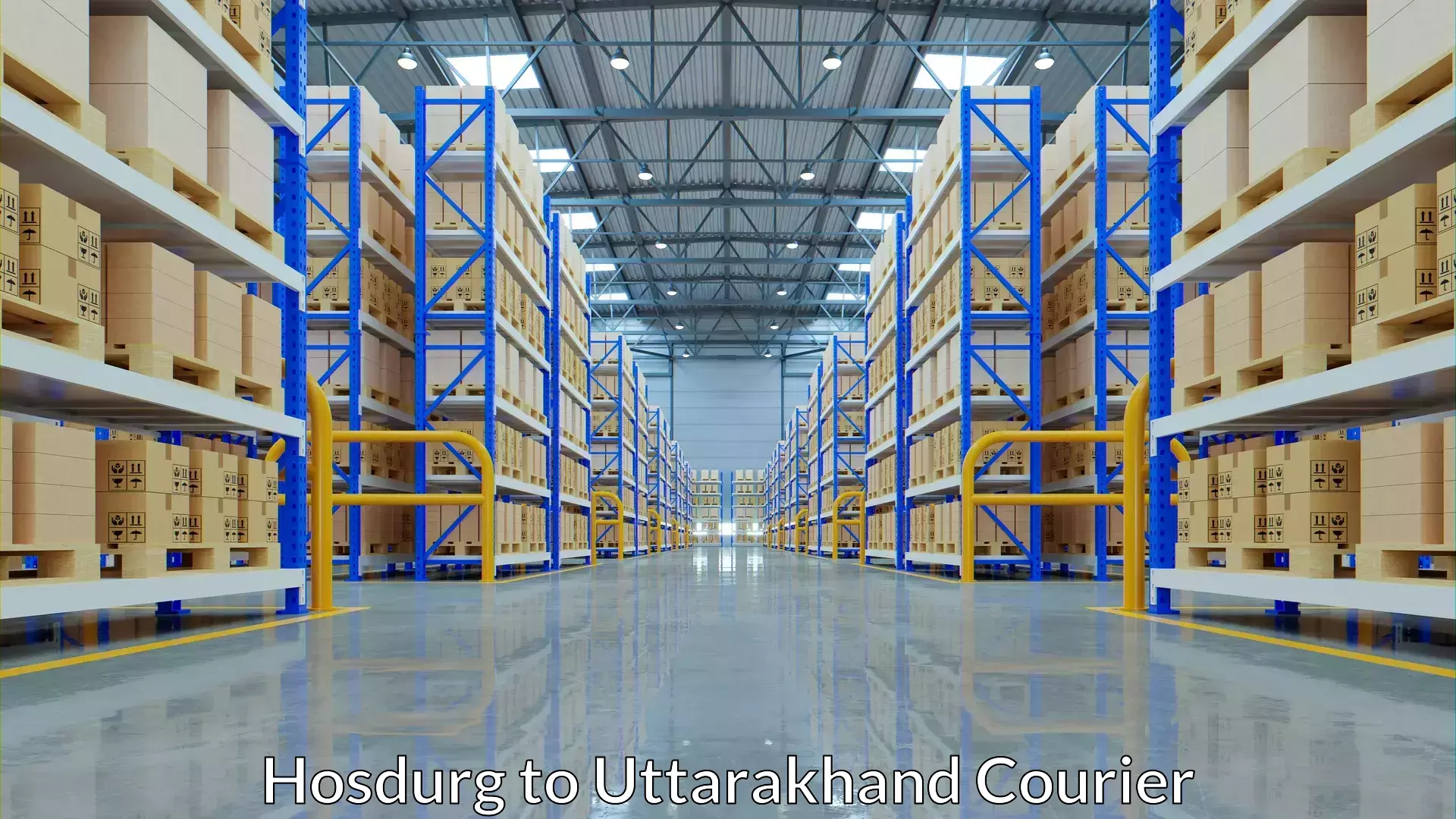 Express courier facilities in Hosdurg to Didihat