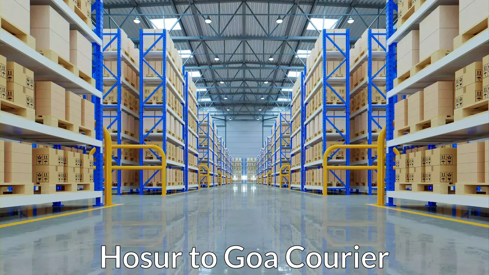 Express package delivery Hosur to Goa