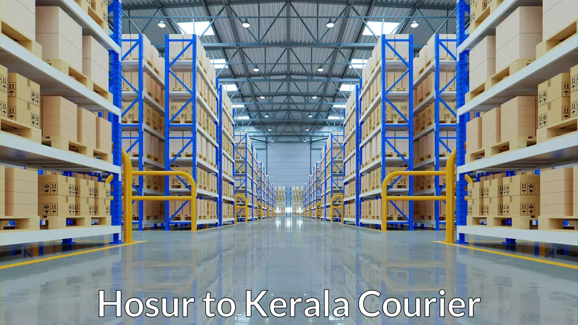 Smart parcel solutions Hosur to Kasaragod