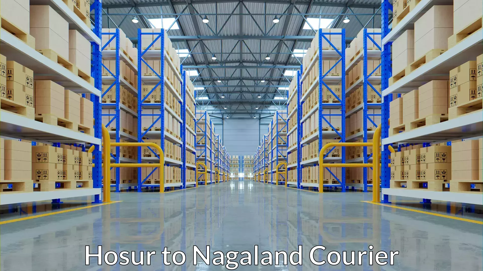 Affordable parcel rates Hosur to NIT Nagaland