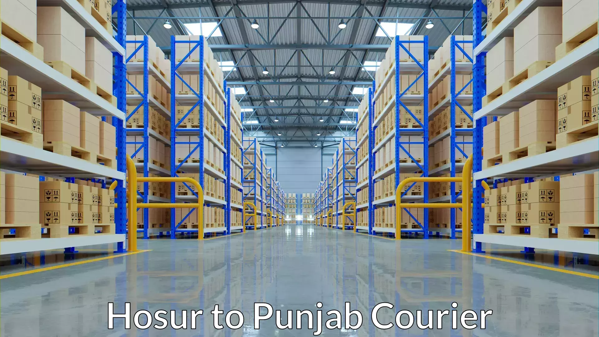 Retail shipping solutions Hosur to Bathinda