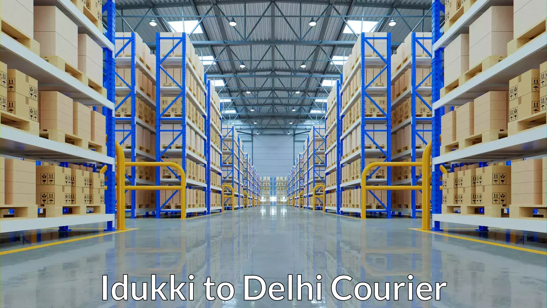 Custom courier solutions in Idukki to Delhi