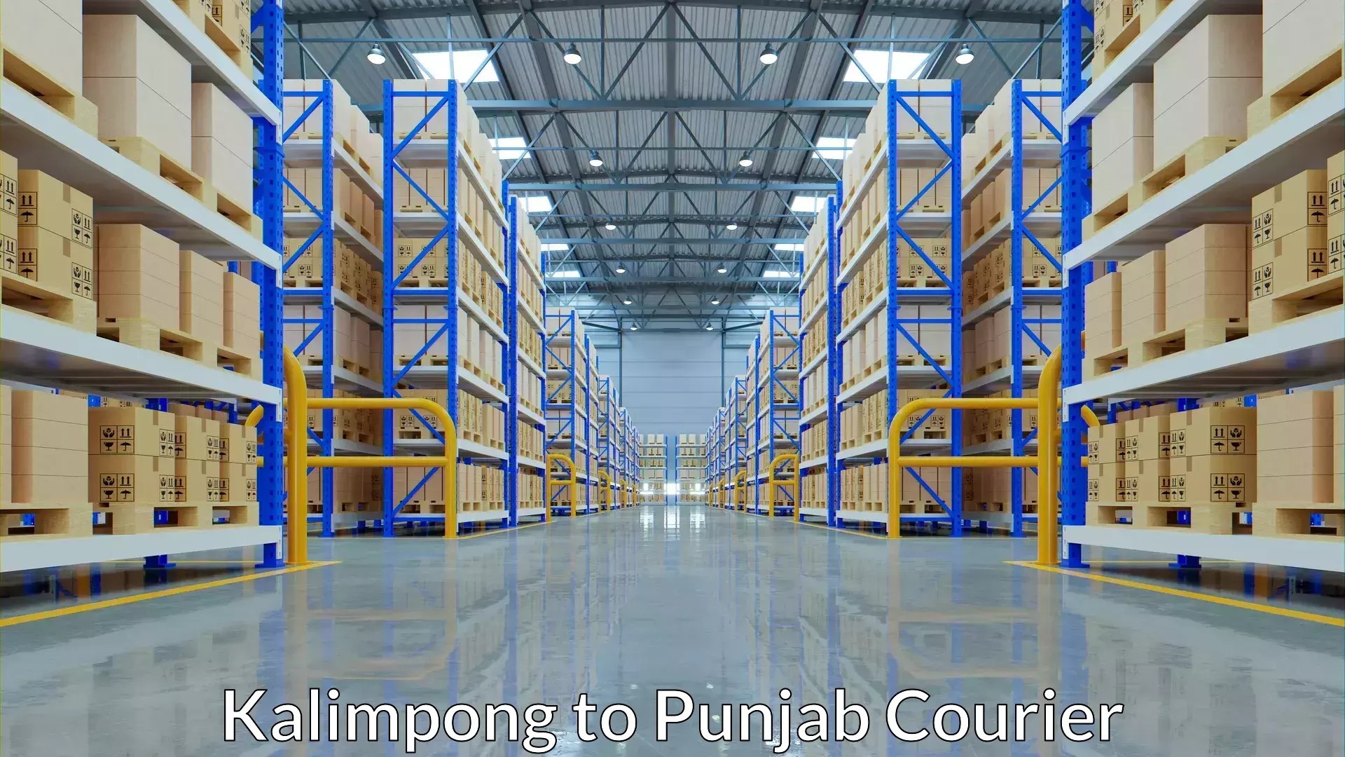 Business delivery service Kalimpong to Punjab Agricultural University Ludhiana