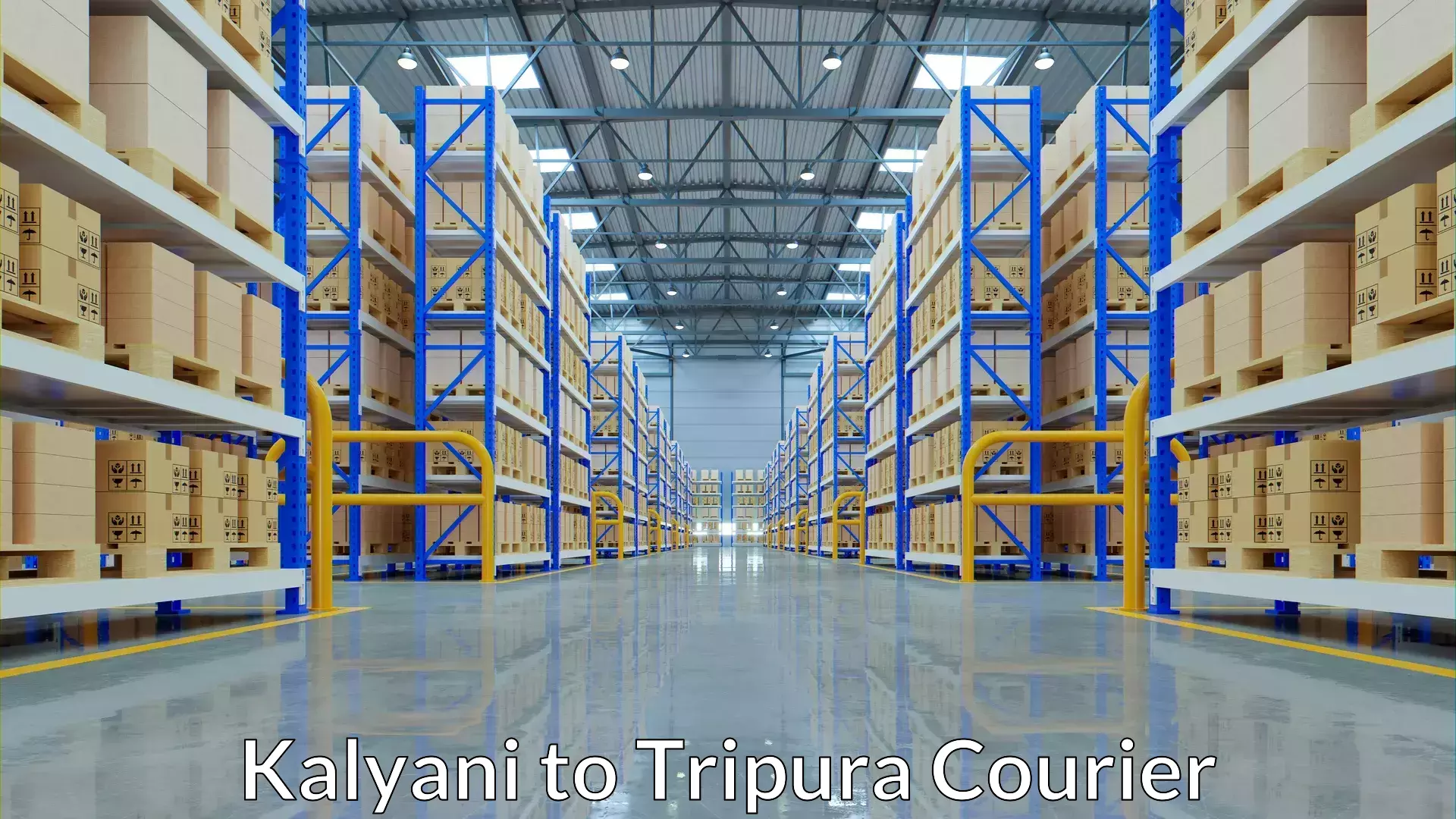 Professional parcel services Kalyani to West Tripura