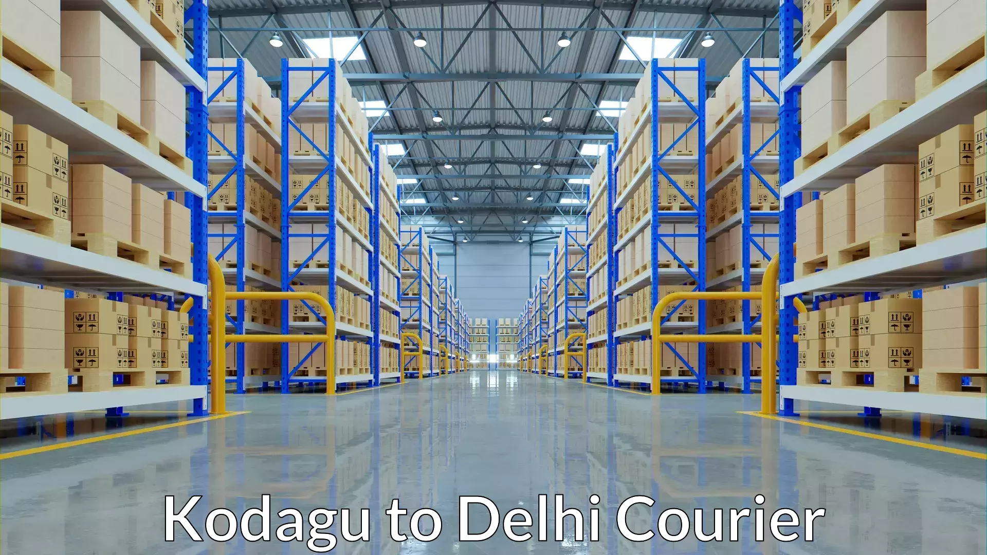 Local courier options Kodagu to NIT Delhi