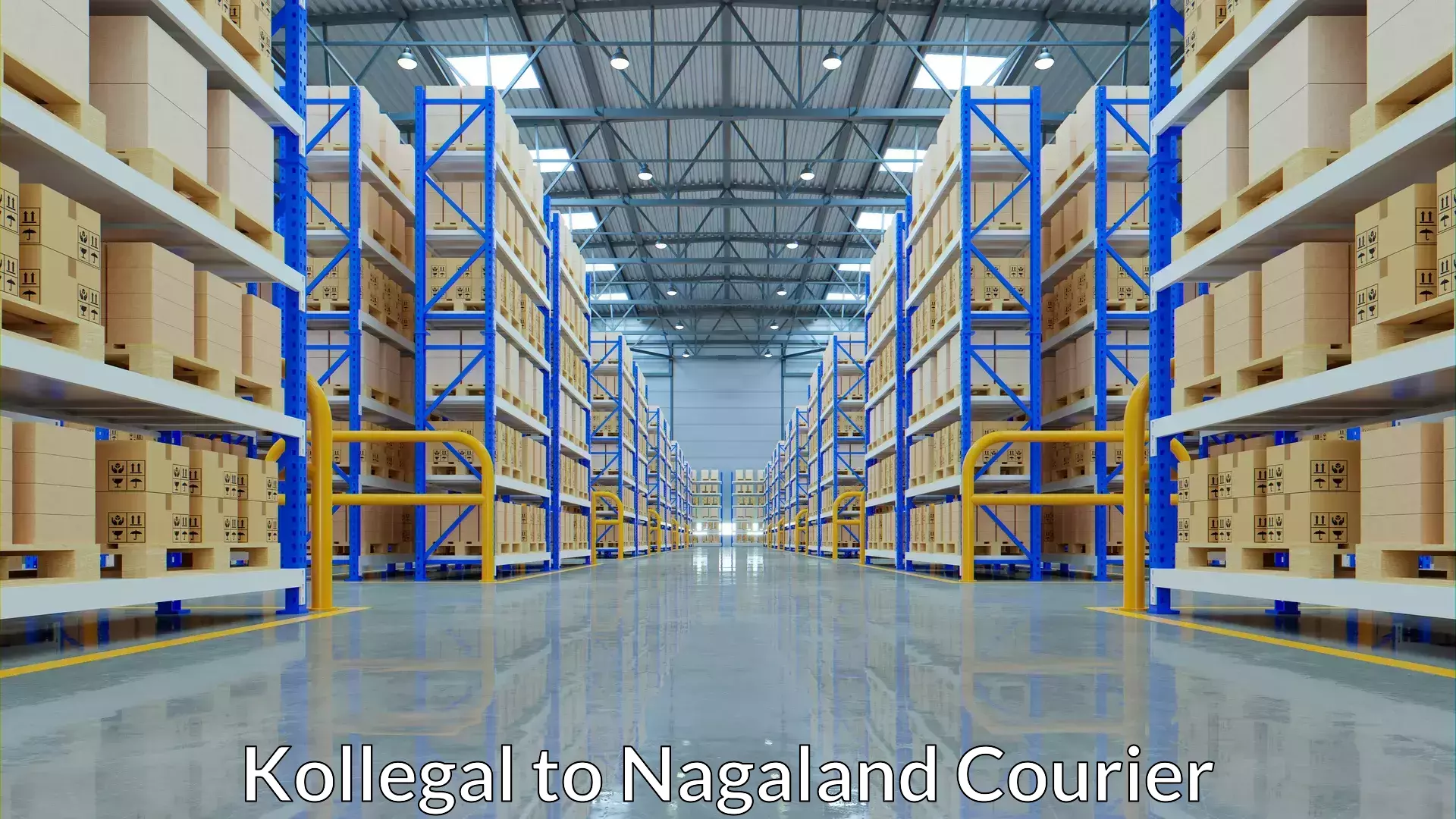 On-time delivery services Kollegal to Nagaland