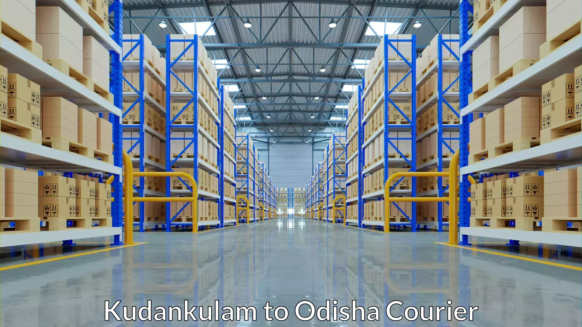 International courier networks Kudankulam to Kalinga Institute of Industrial Technology Bhubaneswar