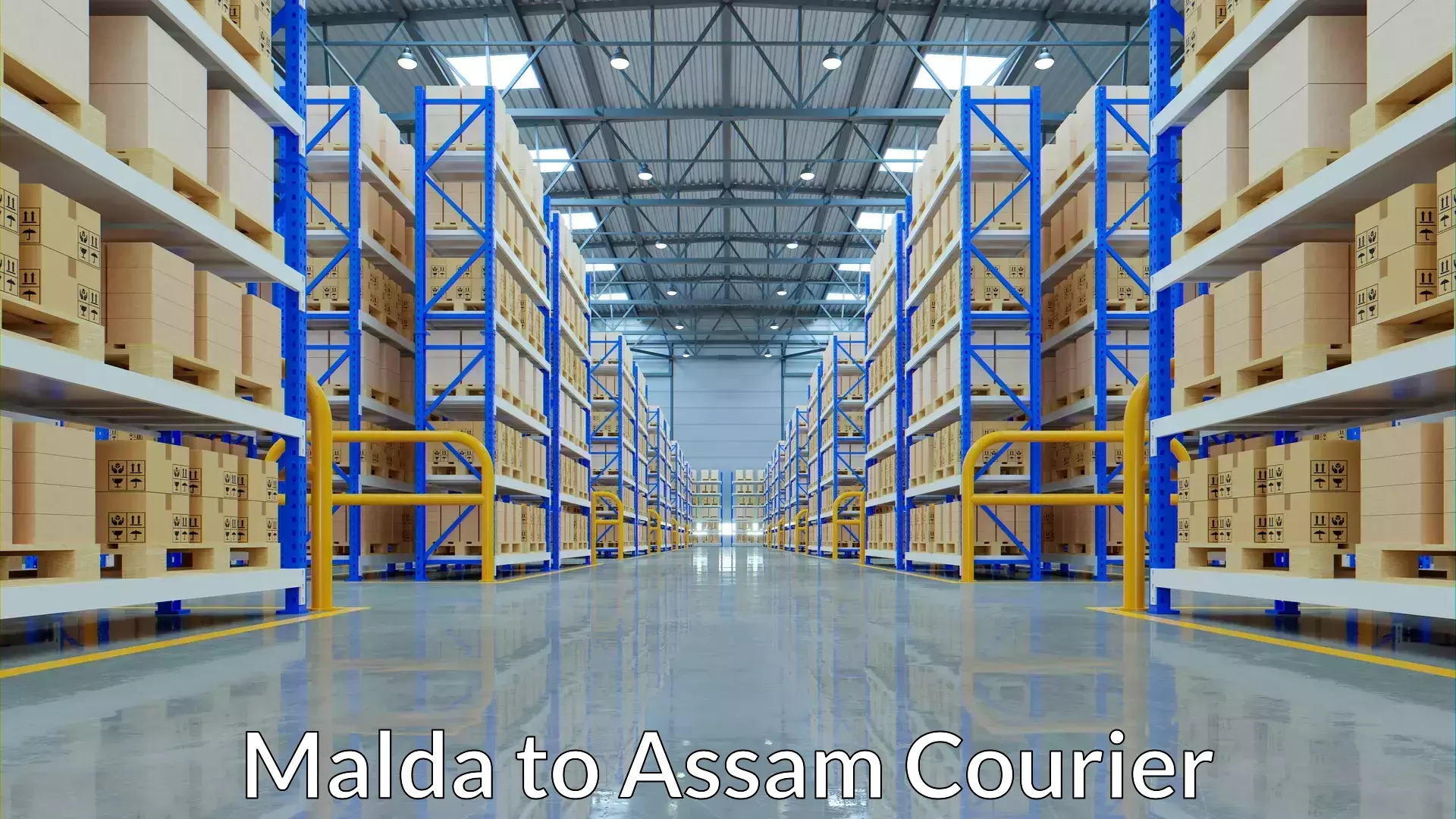 Customer-friendly courier services Malda to Nagaon