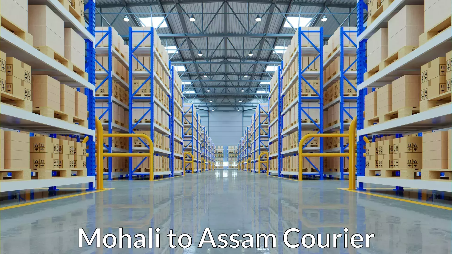 Wholesale parcel delivery Mohali to Ramkrishna Nagar Karimganj