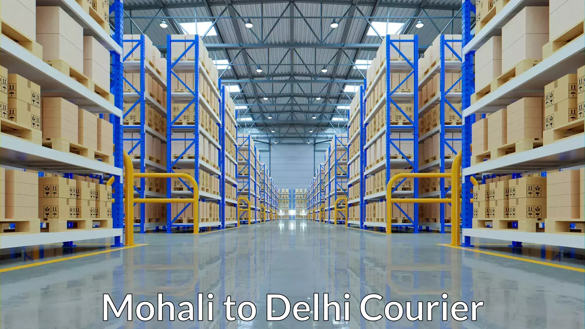 Quality courier services Mohali to Lodhi Road