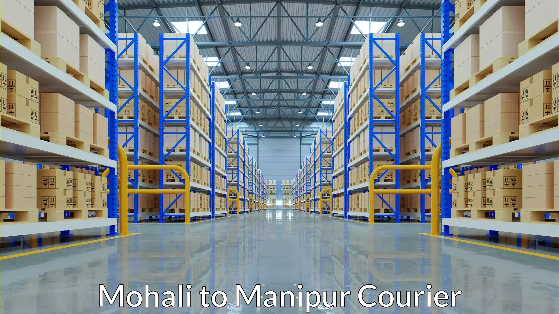 Next-day delivery options Mohali to Manipur