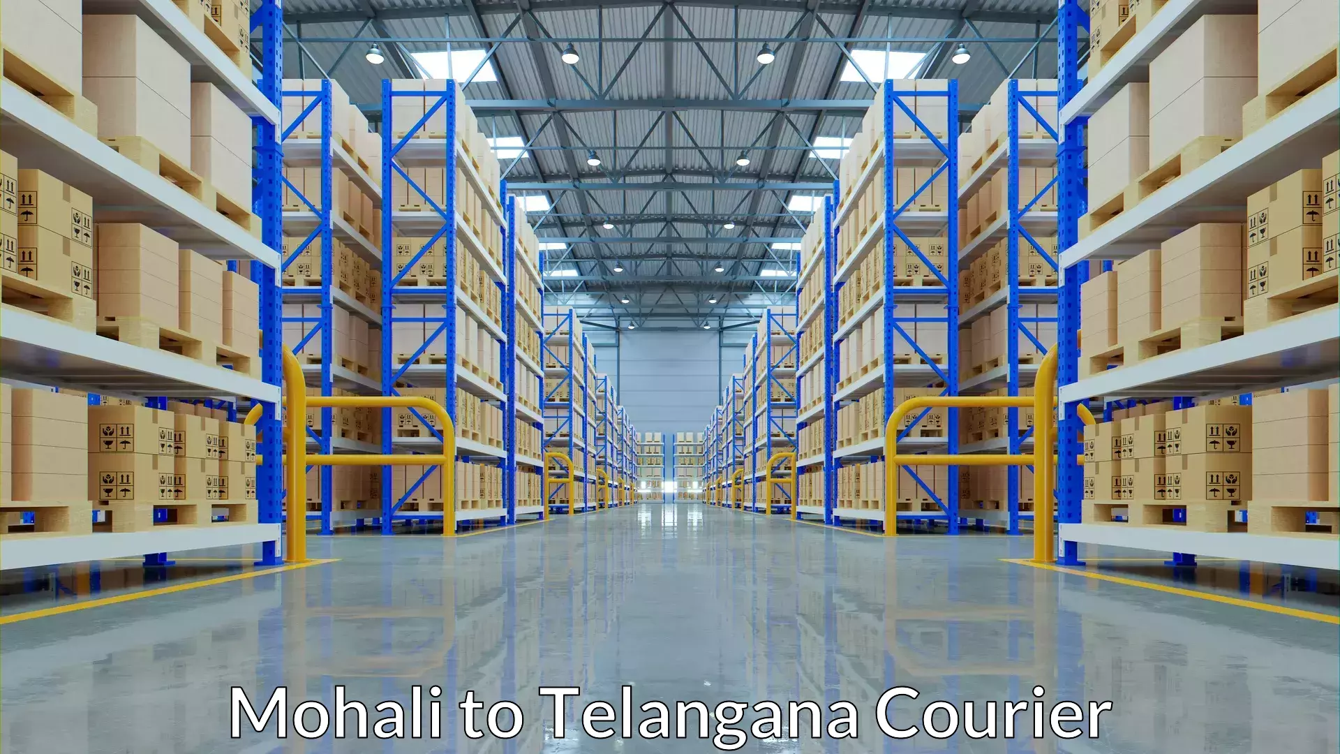 Customized delivery solutions Mohali to Bellal Tarafa Bodhan