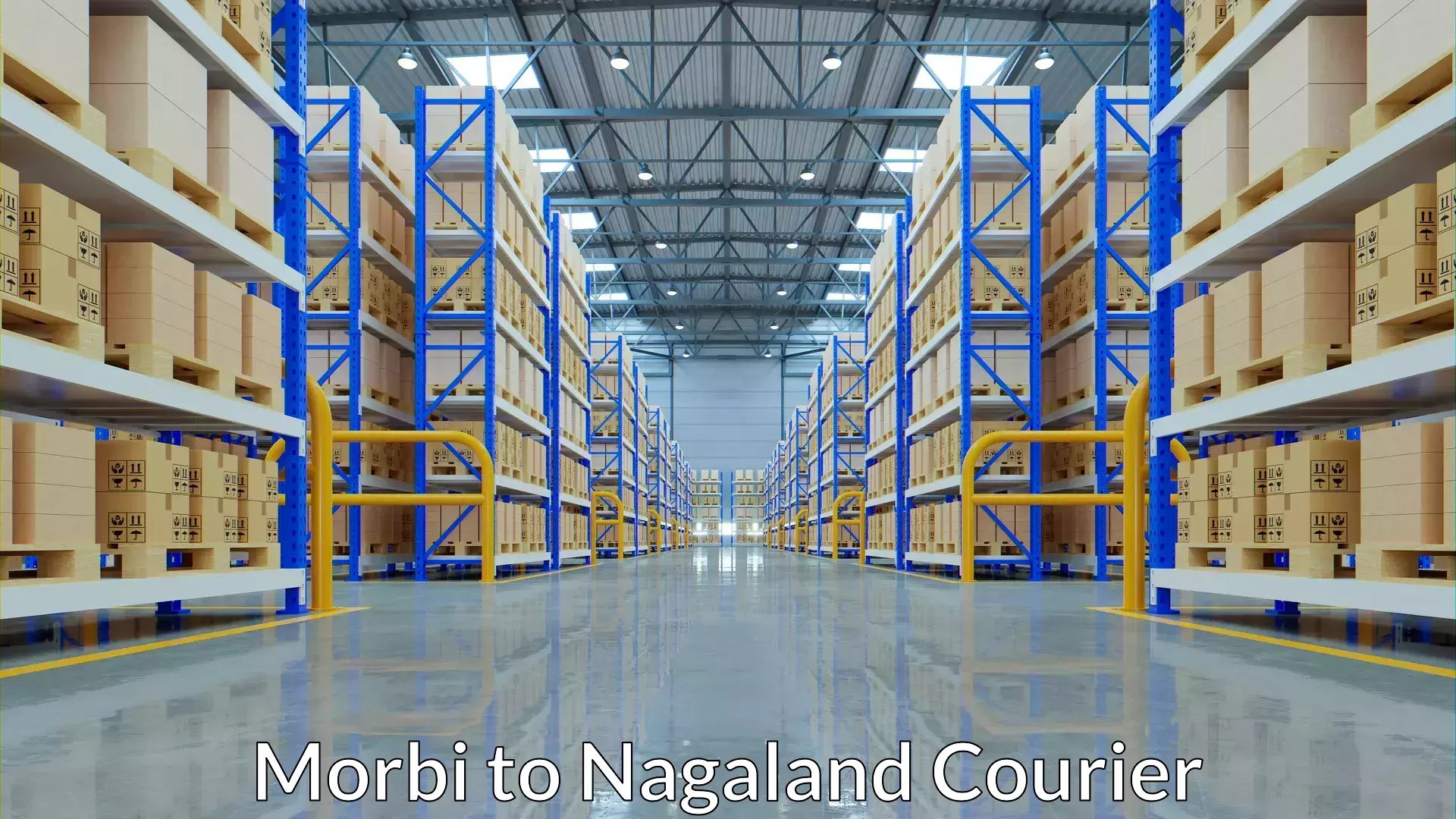 Express logistics Morbi to Nagaland