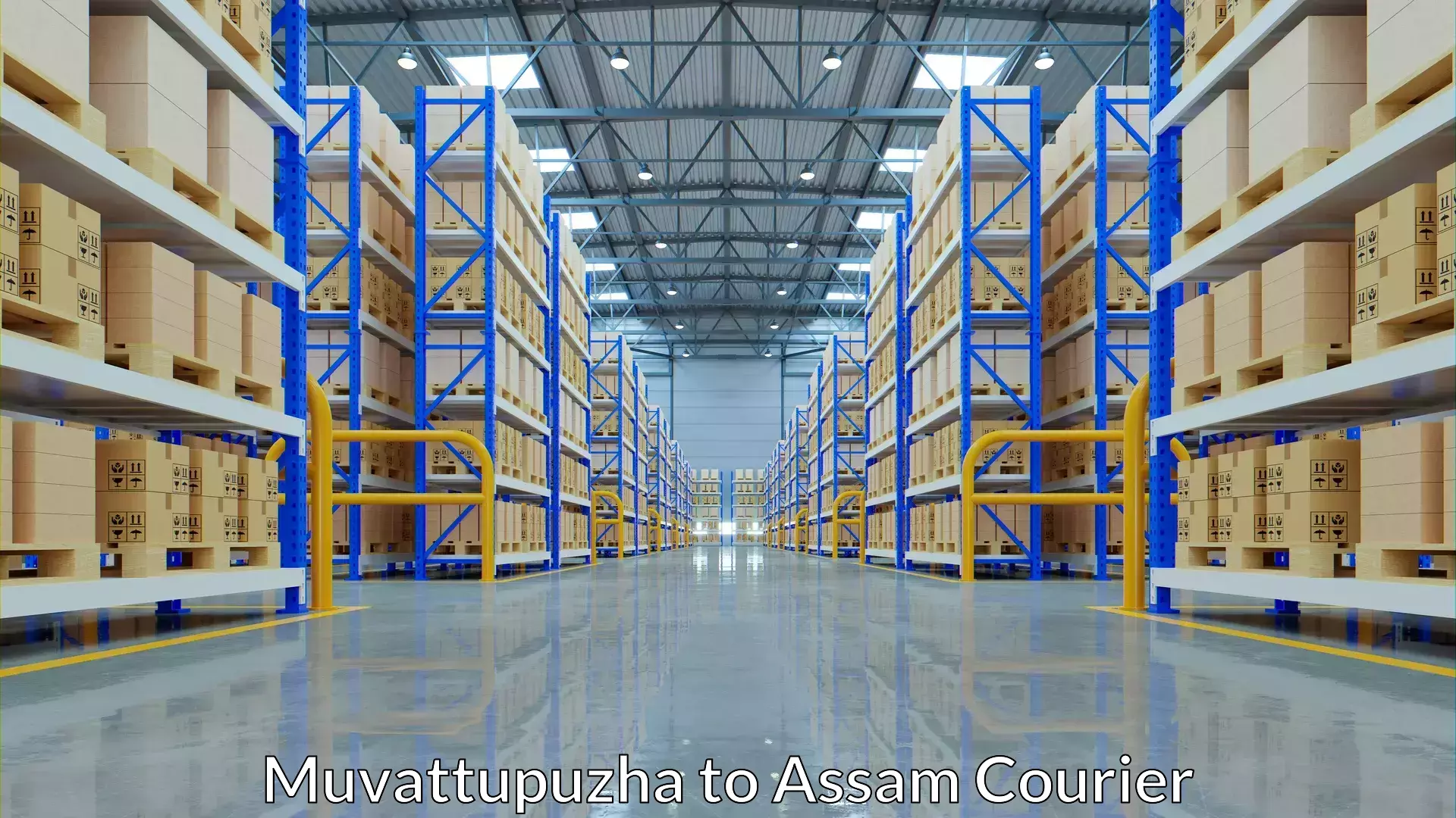 Large package courier Muvattupuzha to Dibrugarh University