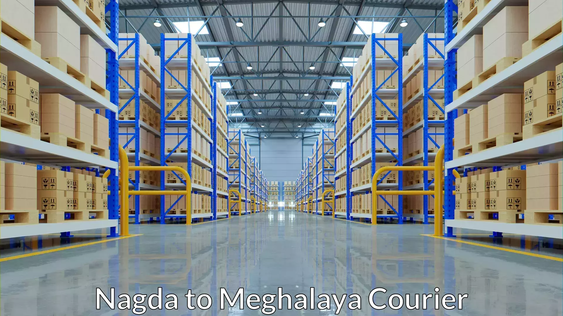 Reliable parcel services Nagda to Meghalaya