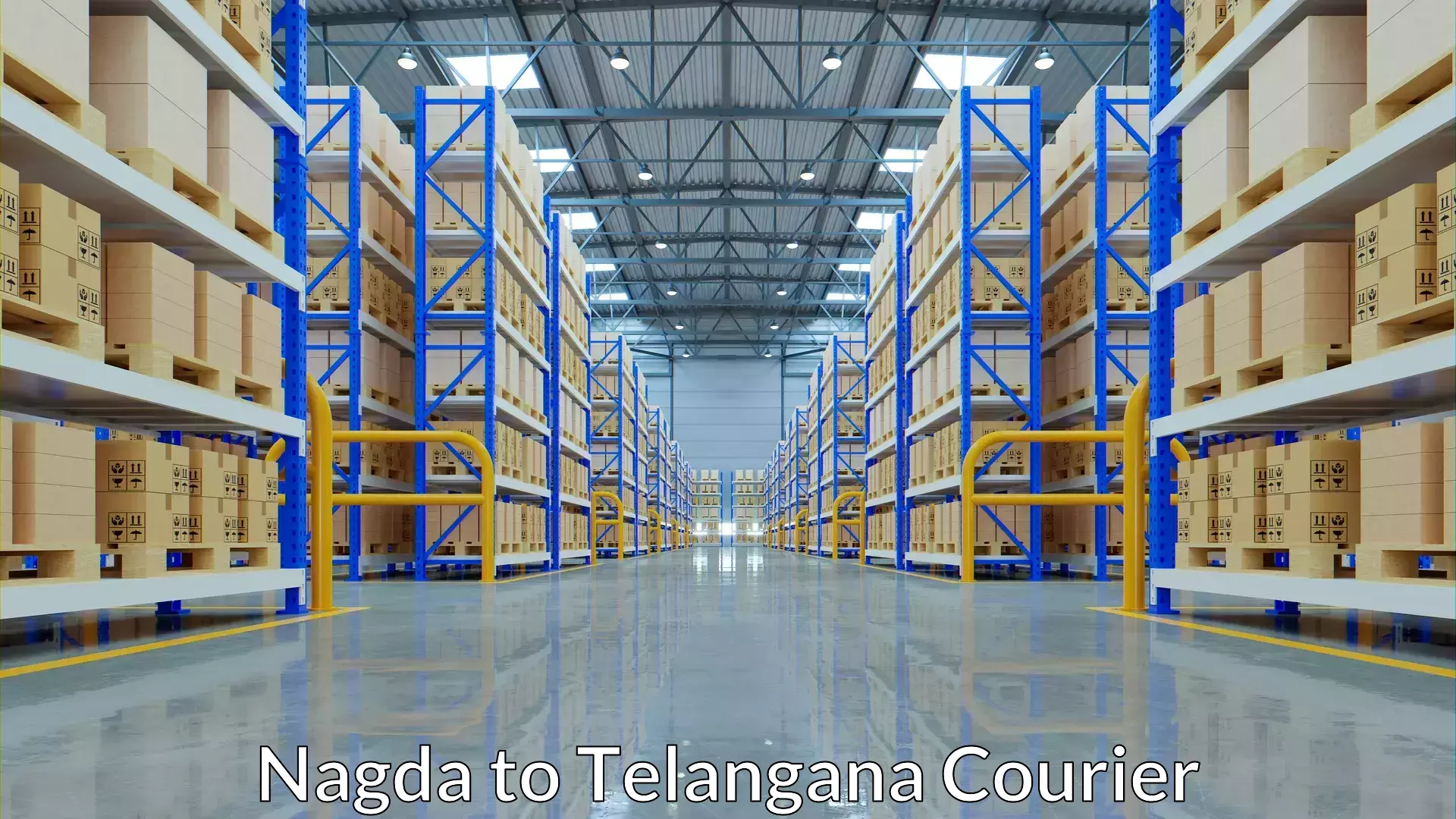 Special handling courier Nagda to Mudigonda