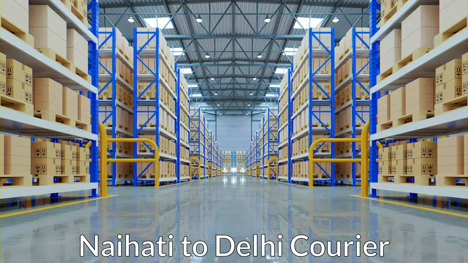 Flexible shipping options Naihati to IIT Delhi