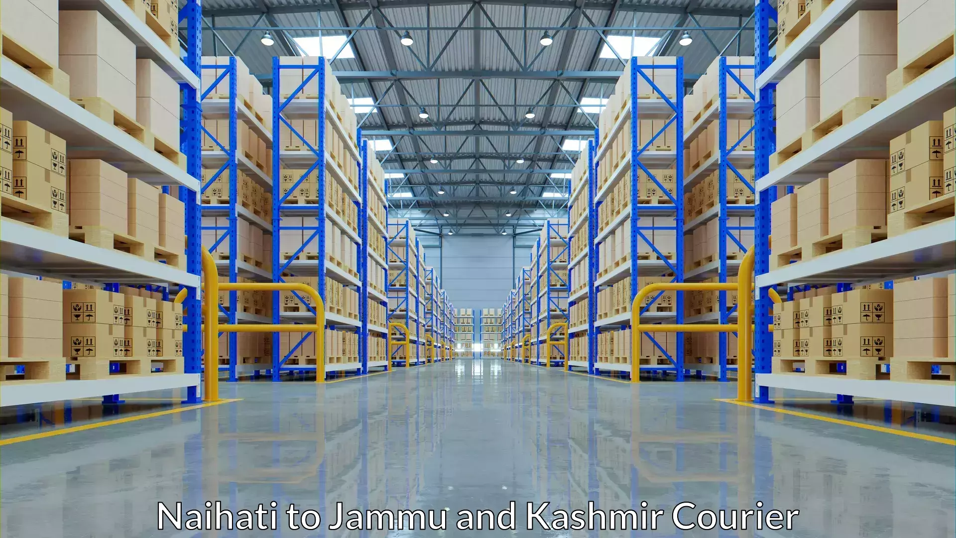 Customized delivery solutions Naihati to Kishtwar