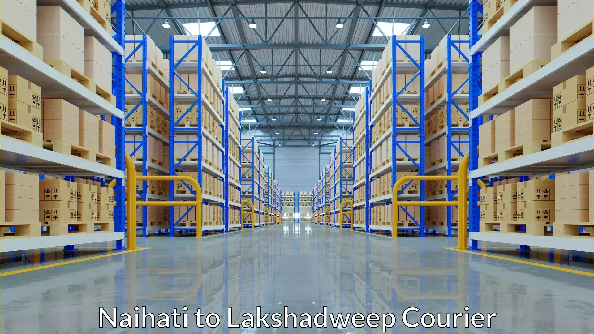 Custom courier solutions Naihati to Lakshadweep